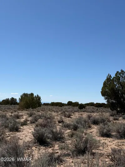 0 TBD 205-70-002, Chambers, AZ 86502