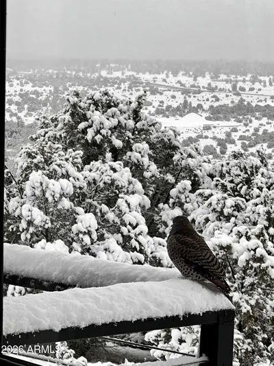 Thumbnail 17