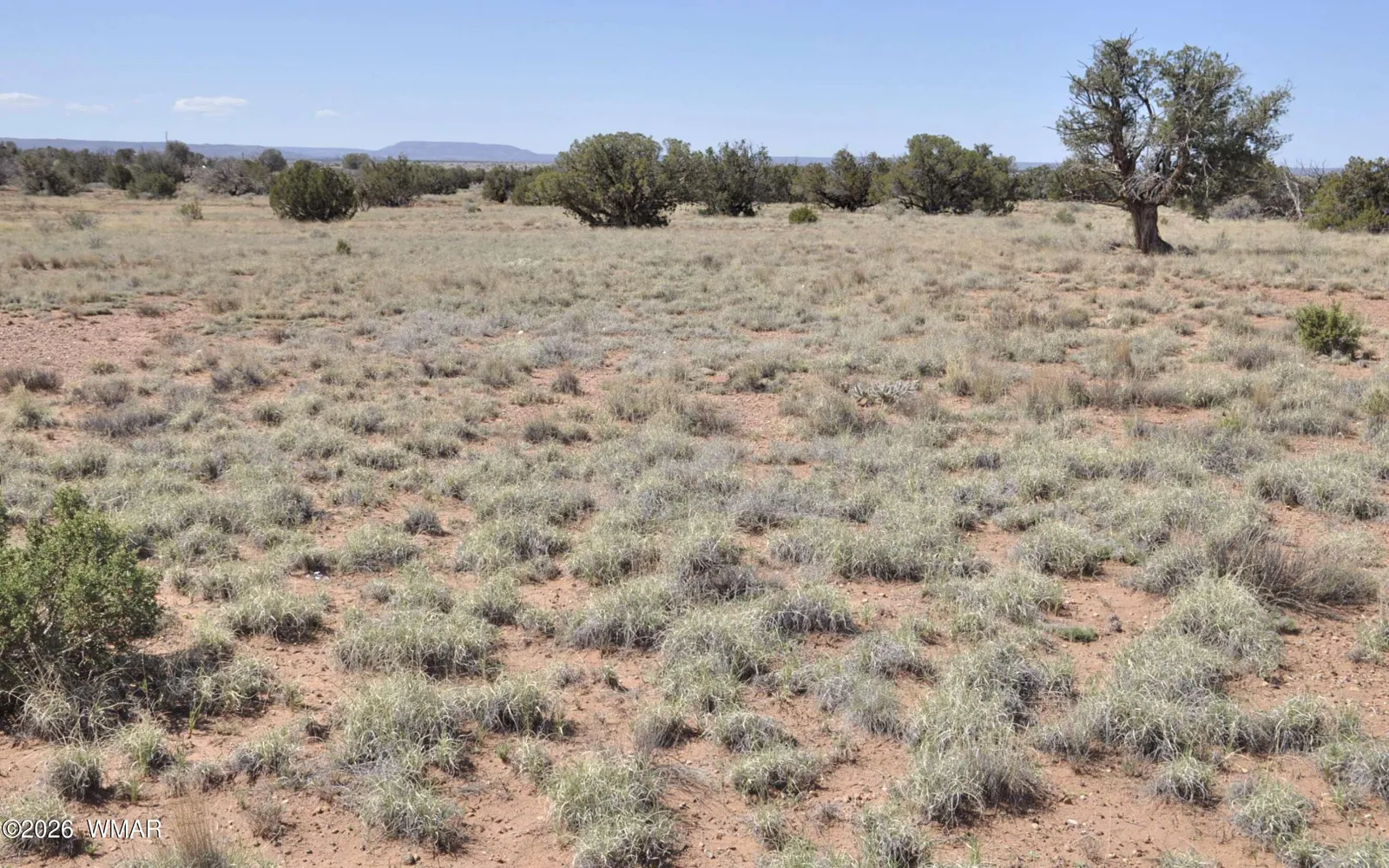 29B N9005, Concho, AZ 85924 — Photo 1 of 13