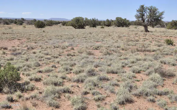 29B N9005, Concho, AZ 85924