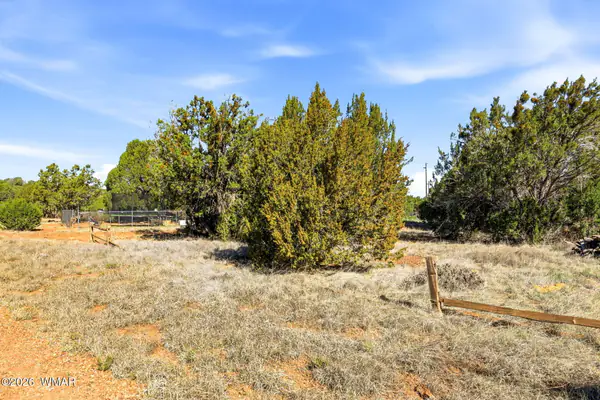 8318 Bear Meadow Drive, Show Low, AZ 85901