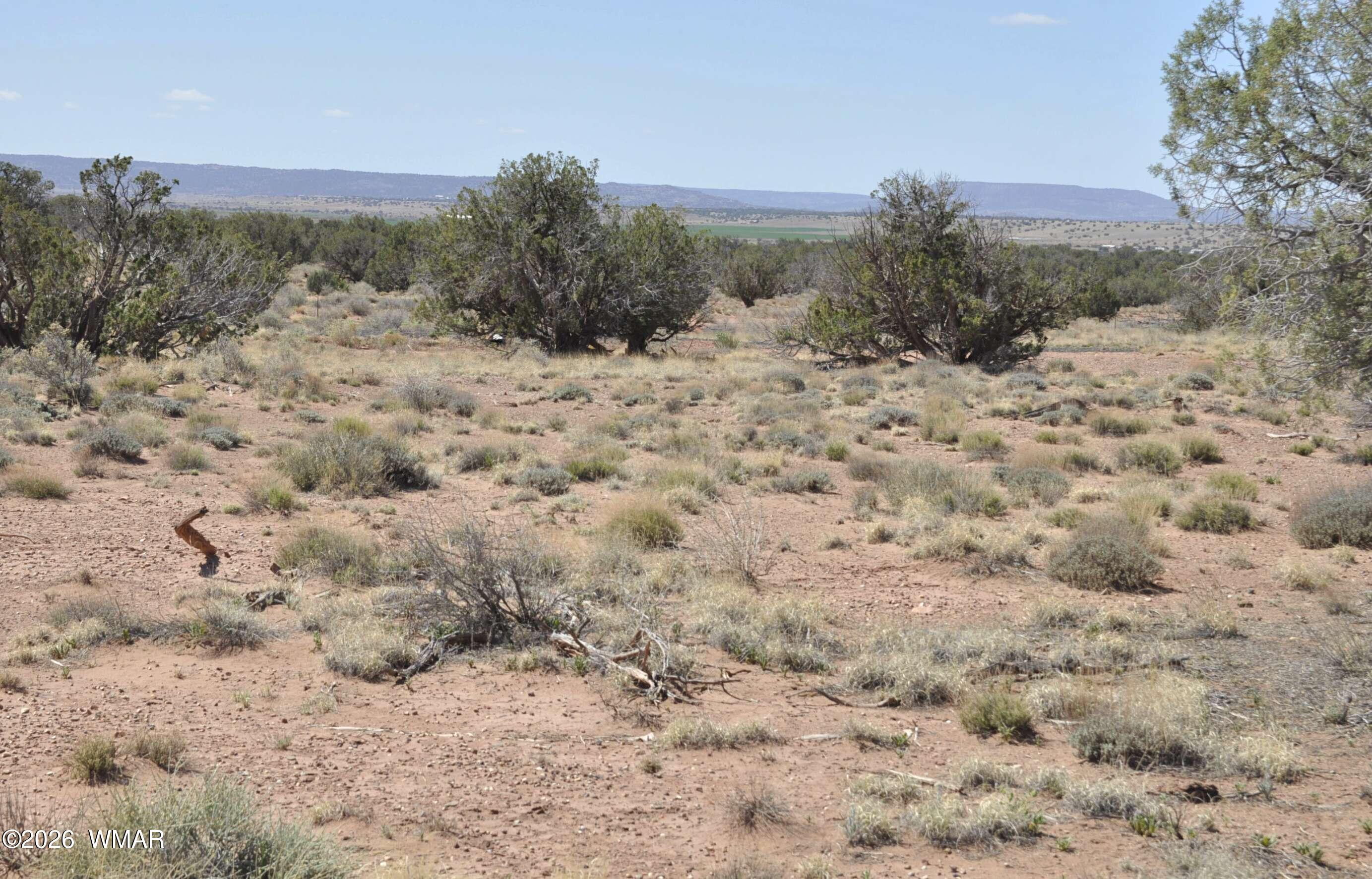 29A CR N9080, Concho, AZ 85924