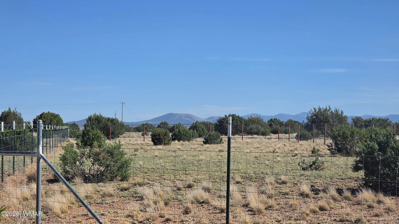 35 County Road 8623 Road, Concho, AZ 85924 — Photo 1 of 22