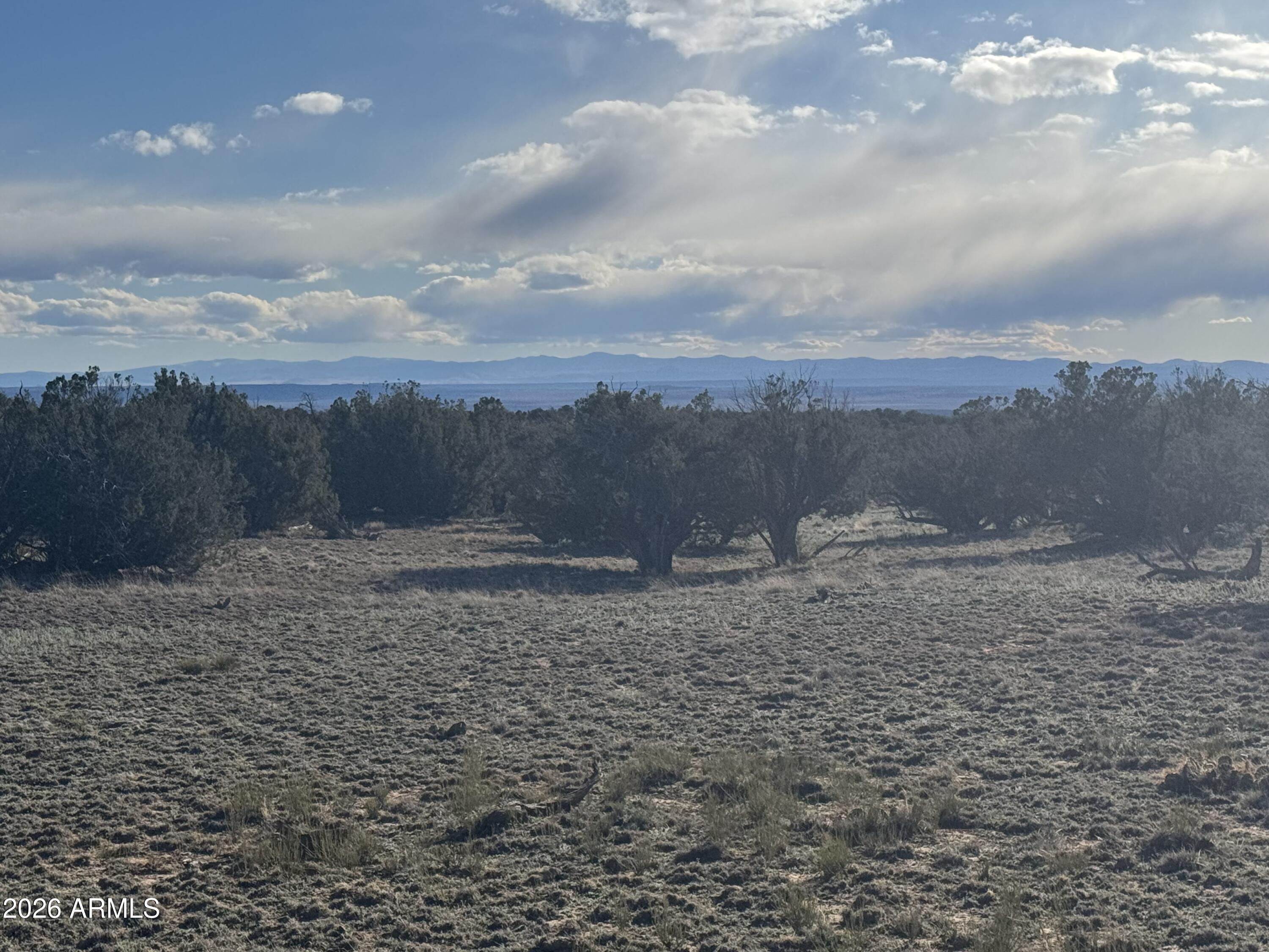 Lot 215 Woodland Valley Ranch 215, St Johns, AZ 85936 — Photo 1 of 21