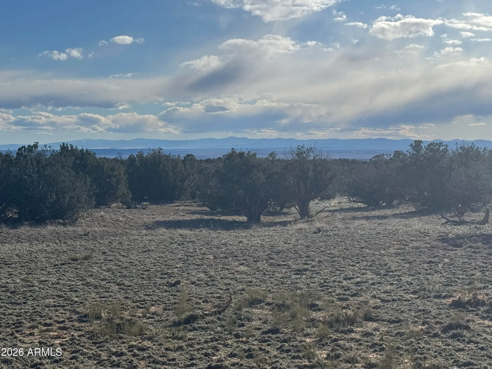 Lot 215 Woodland Valley Ranch 215, St Johns, AZ 85936 — Photo 1 of 13