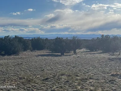 Lot 215 Woodland Valley Ranch 215, St Johns, AZ 85936
