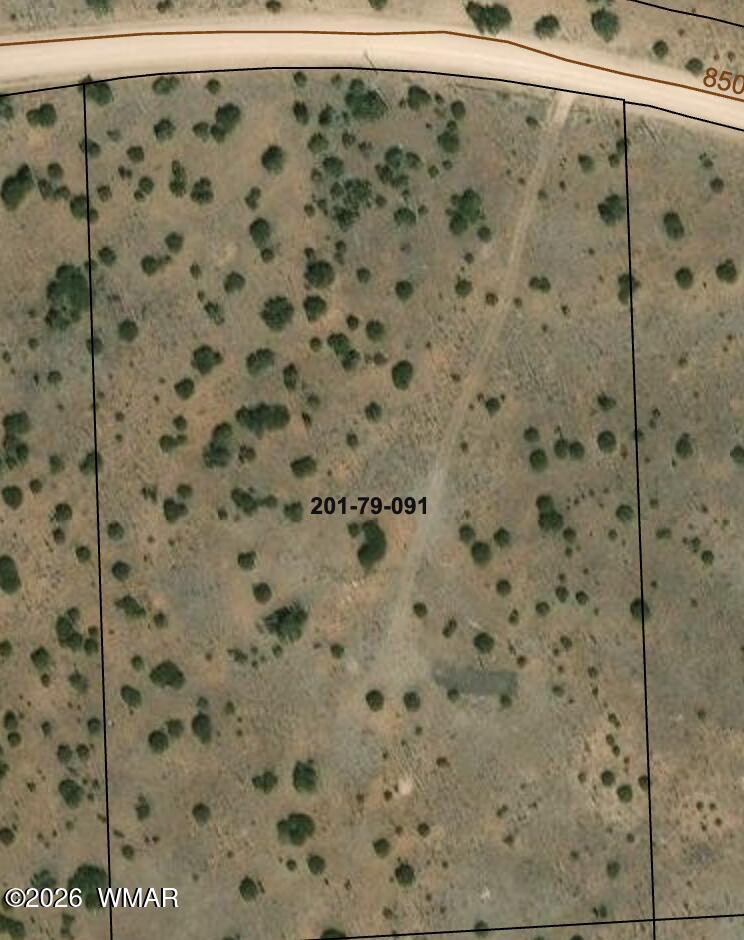 TBD Windsor Valley Ranch, Concho, AZ 85924