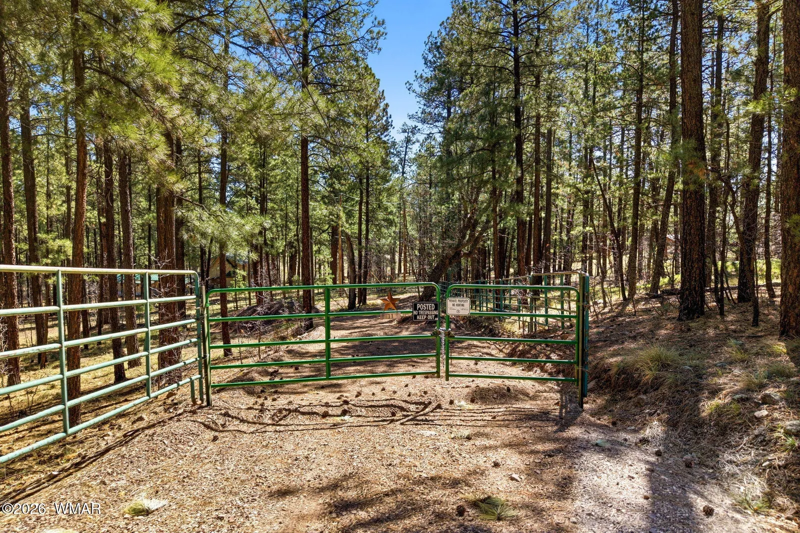 11 County Road 2135, Alpine, AZ 85920 — Photo 1 of 17