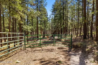 11 County Road 2135, Alpine, AZ 85920