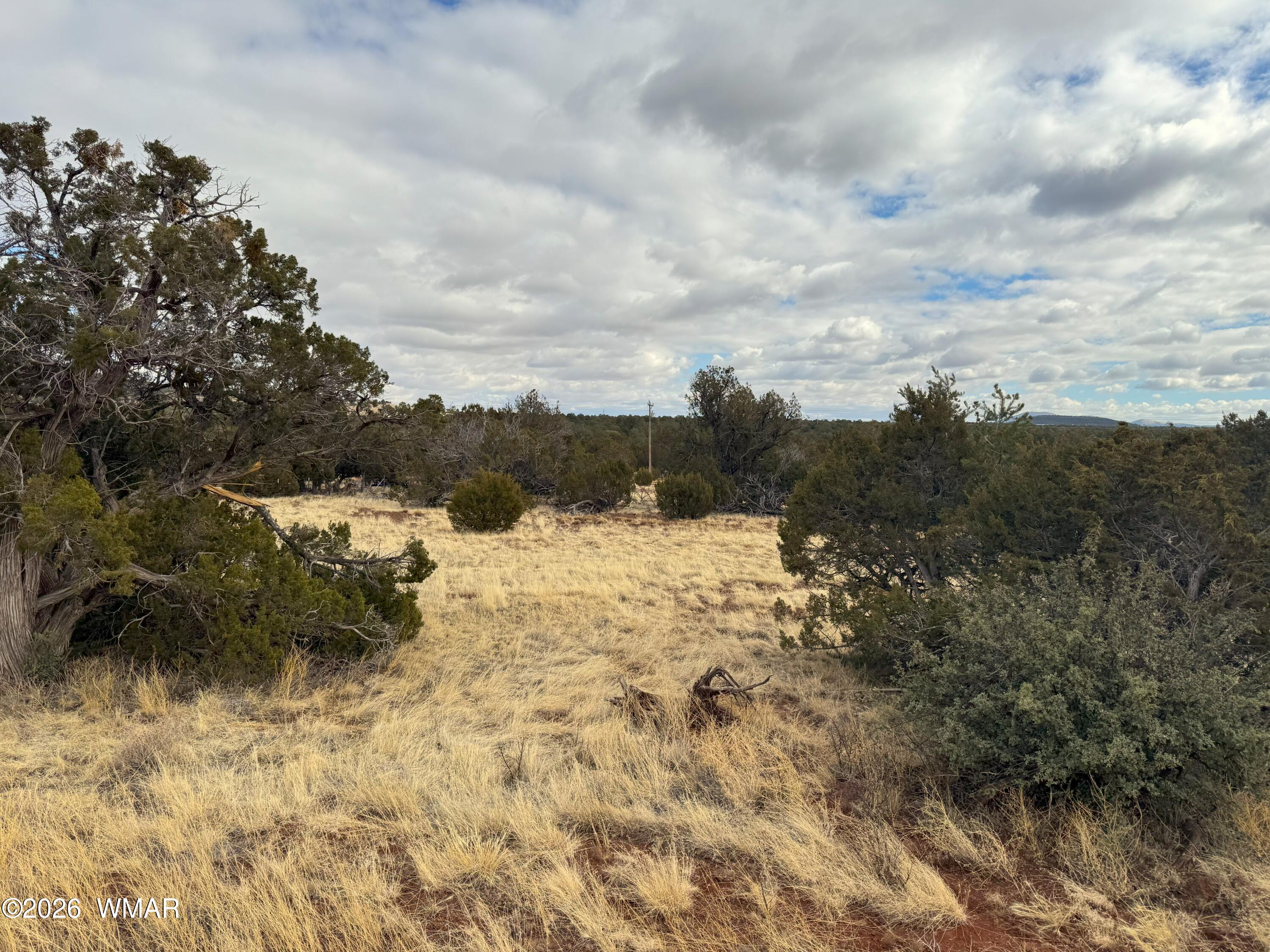 14 Co, # 3340, Vernon, AZ 85940