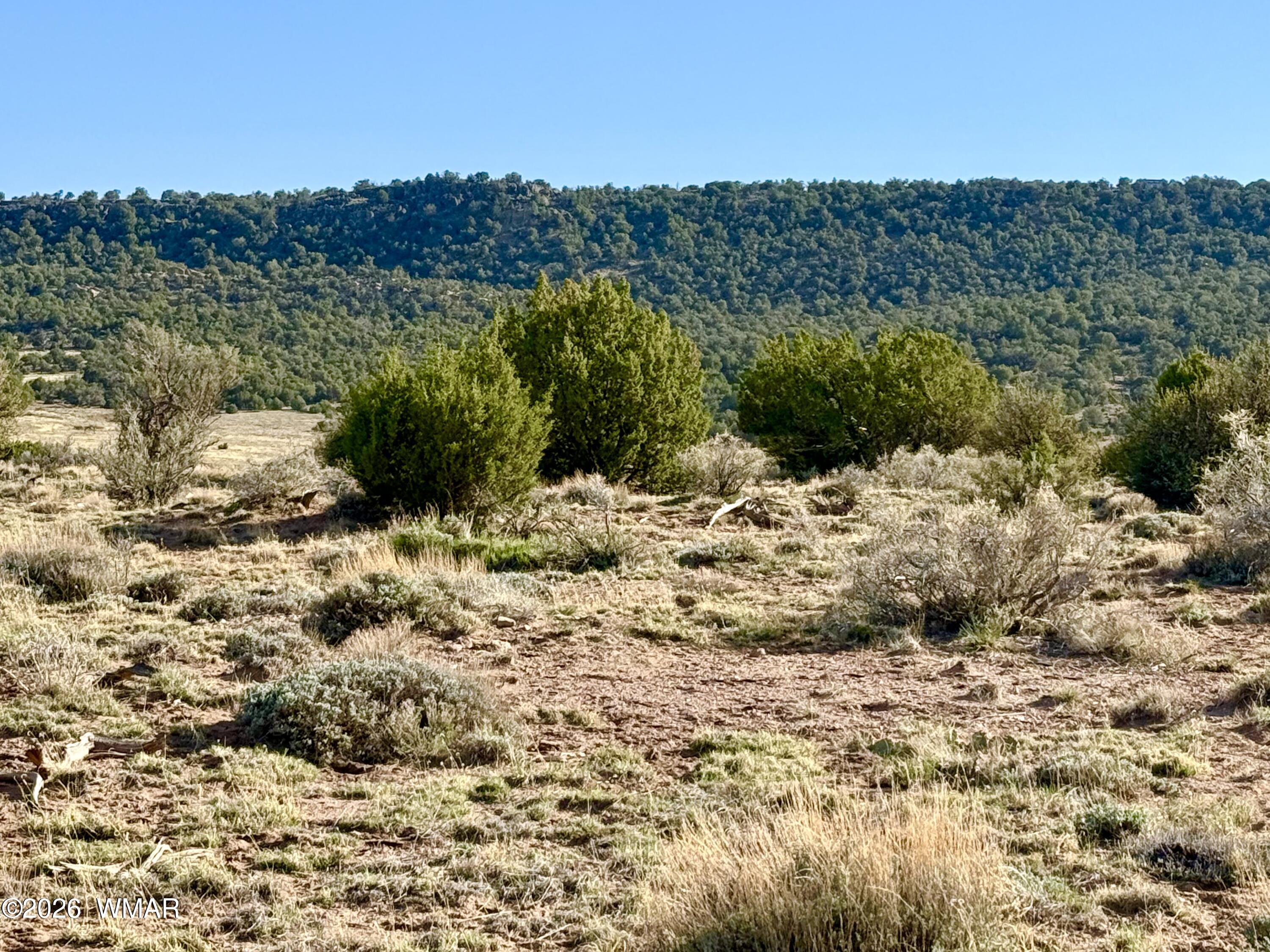 85 Co Road 8500 40 Acres, Concho, AZ 85924