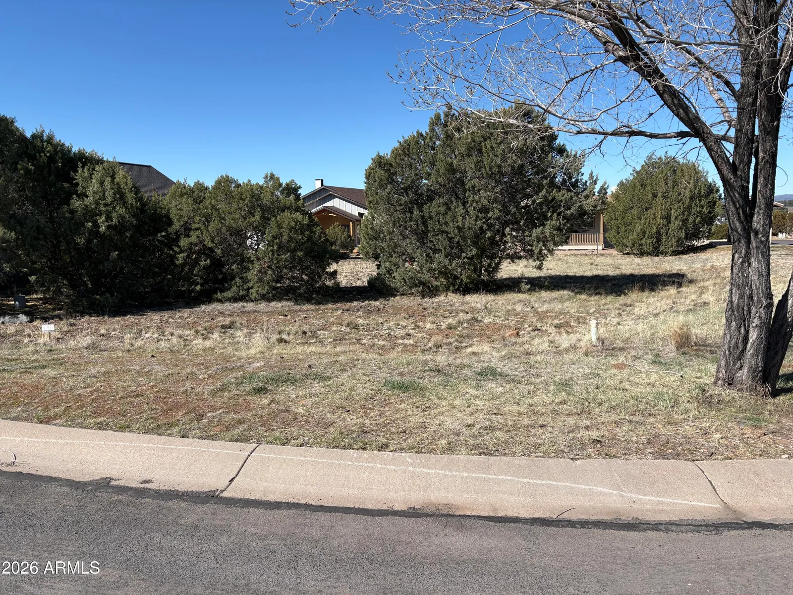 500 S Ridge Drive, Show Low, AZ 85901 — Photo 1 of 2