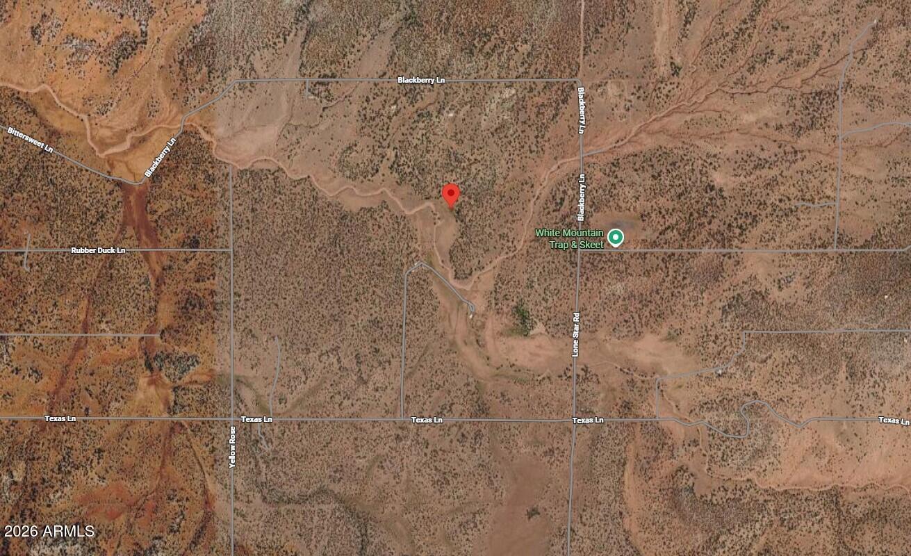 9317 BITTERSWEET Lane 50, Show Low, AZ 85901 — Photo 1 of 3