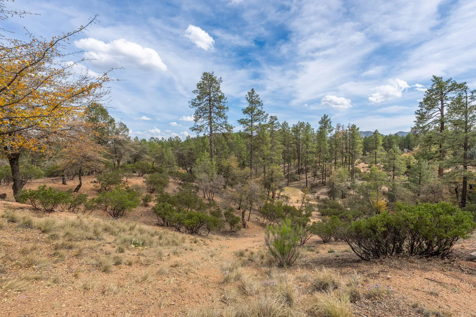 3010 E Arrow Point, Payson, AZ 85541 — Photo 1 of 23