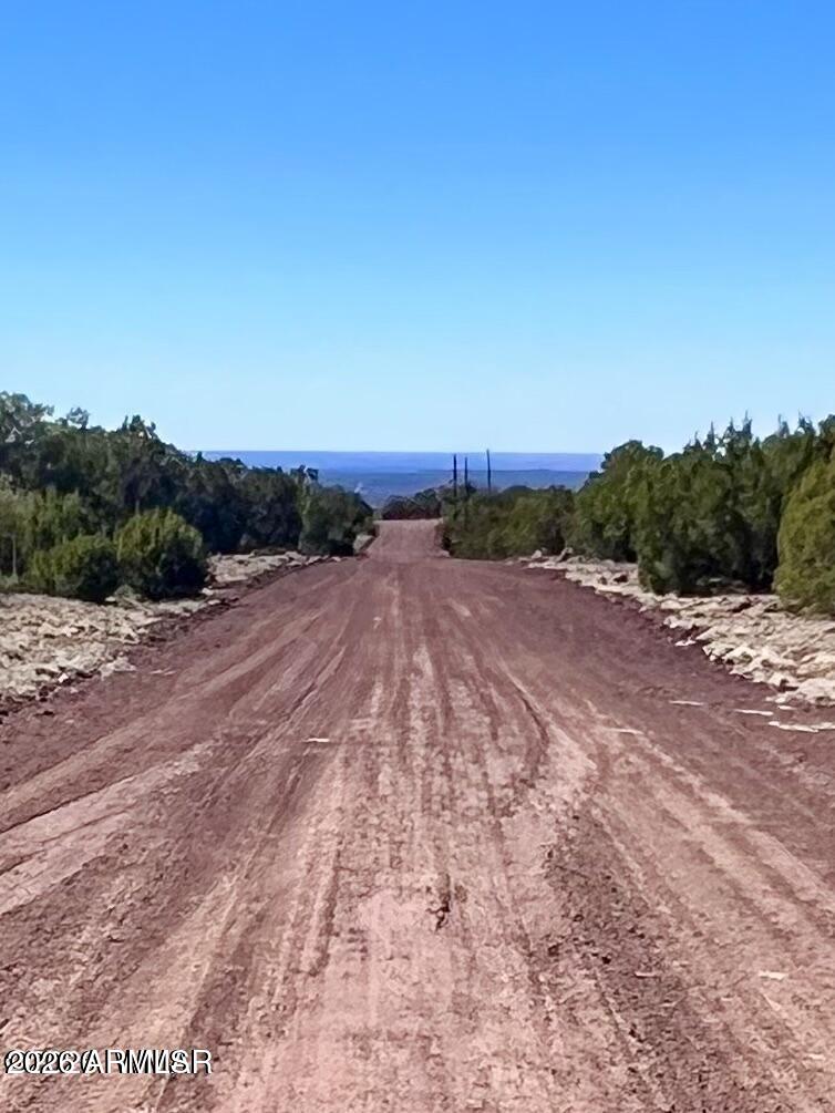 TBD Co Rd 8307 Lot 100 -, Concho, AZ 85924 — Photo 1 of 38