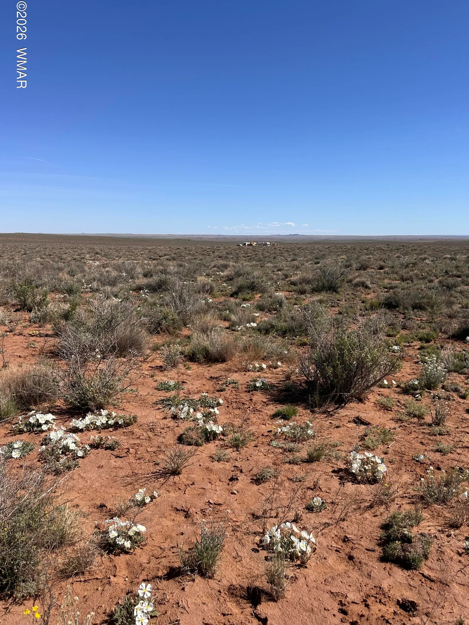 5647 Kohl Road, Snowflake, AZ 85937 — Photo 1 of 5