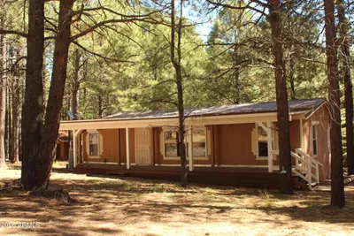 659 MULE SPRINGS Trail, Forest Lakes, AZ 85931