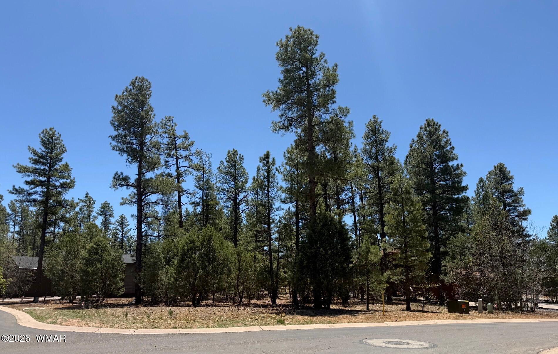 2480 Narrow Leaf Lane, Show Low, AZ 85901