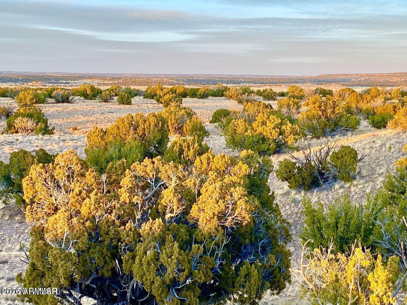 TBD Co Rd N6659 36.25 Acres -, St Johns, AZ 85936 — Photo 1 of 20