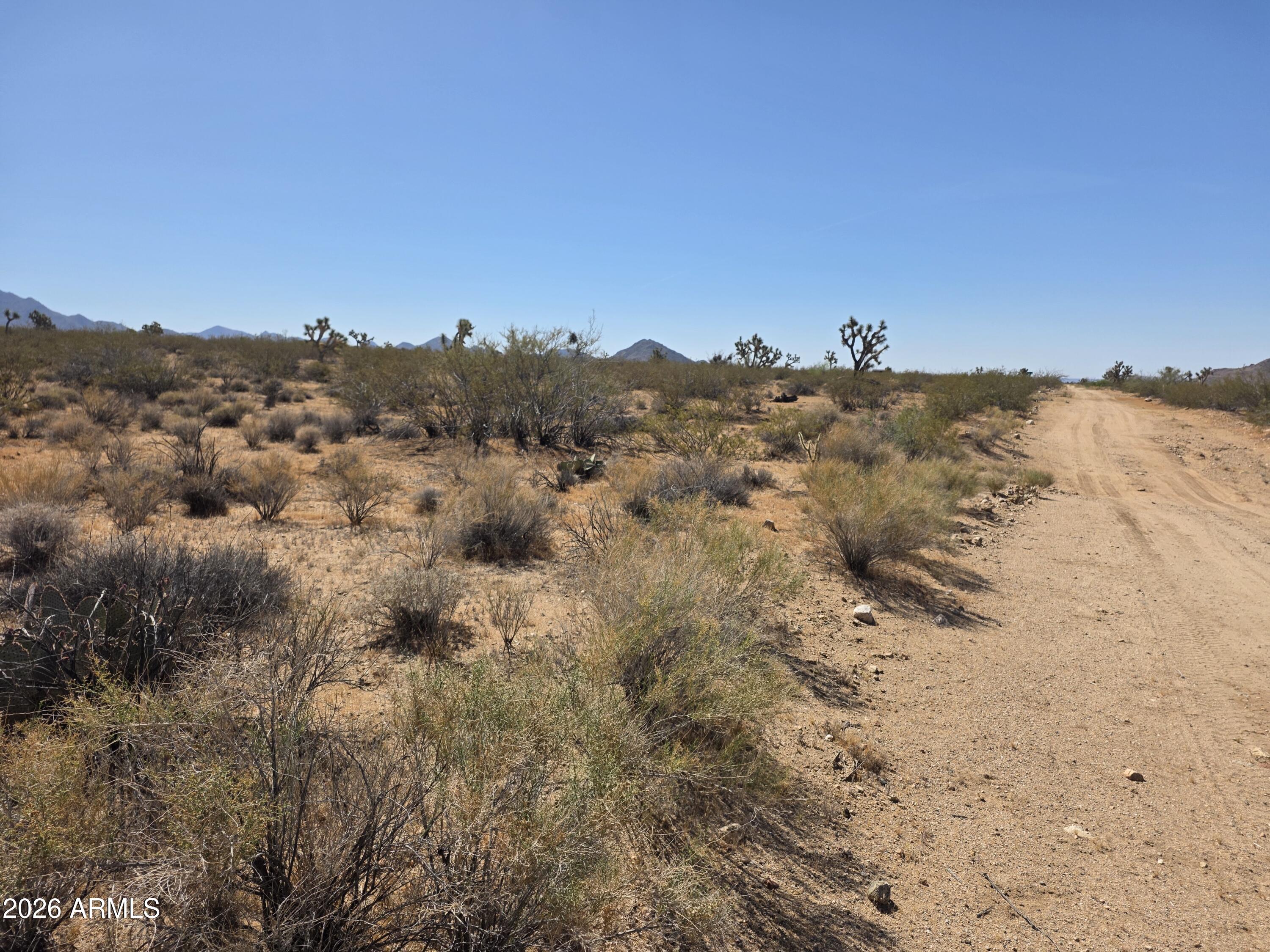 171 & 172 S Nash Road 22 & 23, Yucca, AZ 86438 — Photo 1 of 9