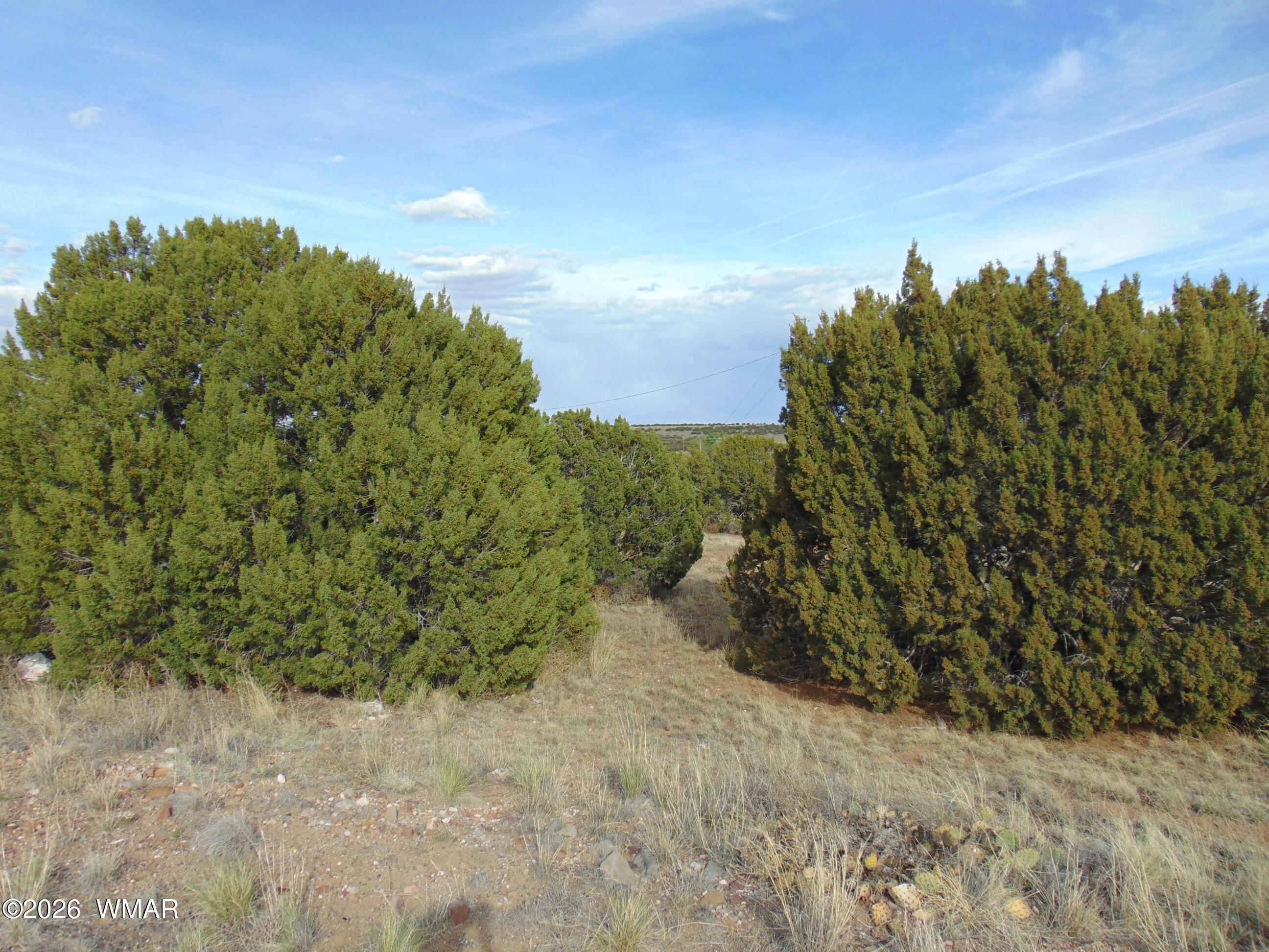 46 Crest Lane, Concho, AZ 85924