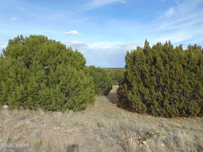 46 Crest Lane, Concho, AZ 85924
