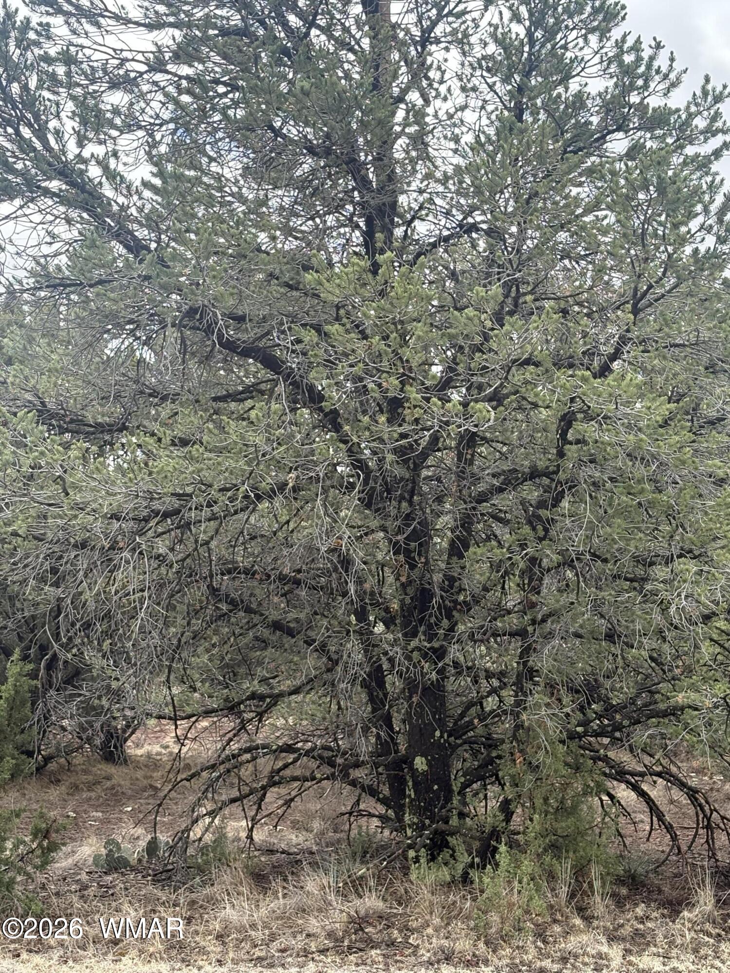 33 N3317, Vernon, AZ 85940