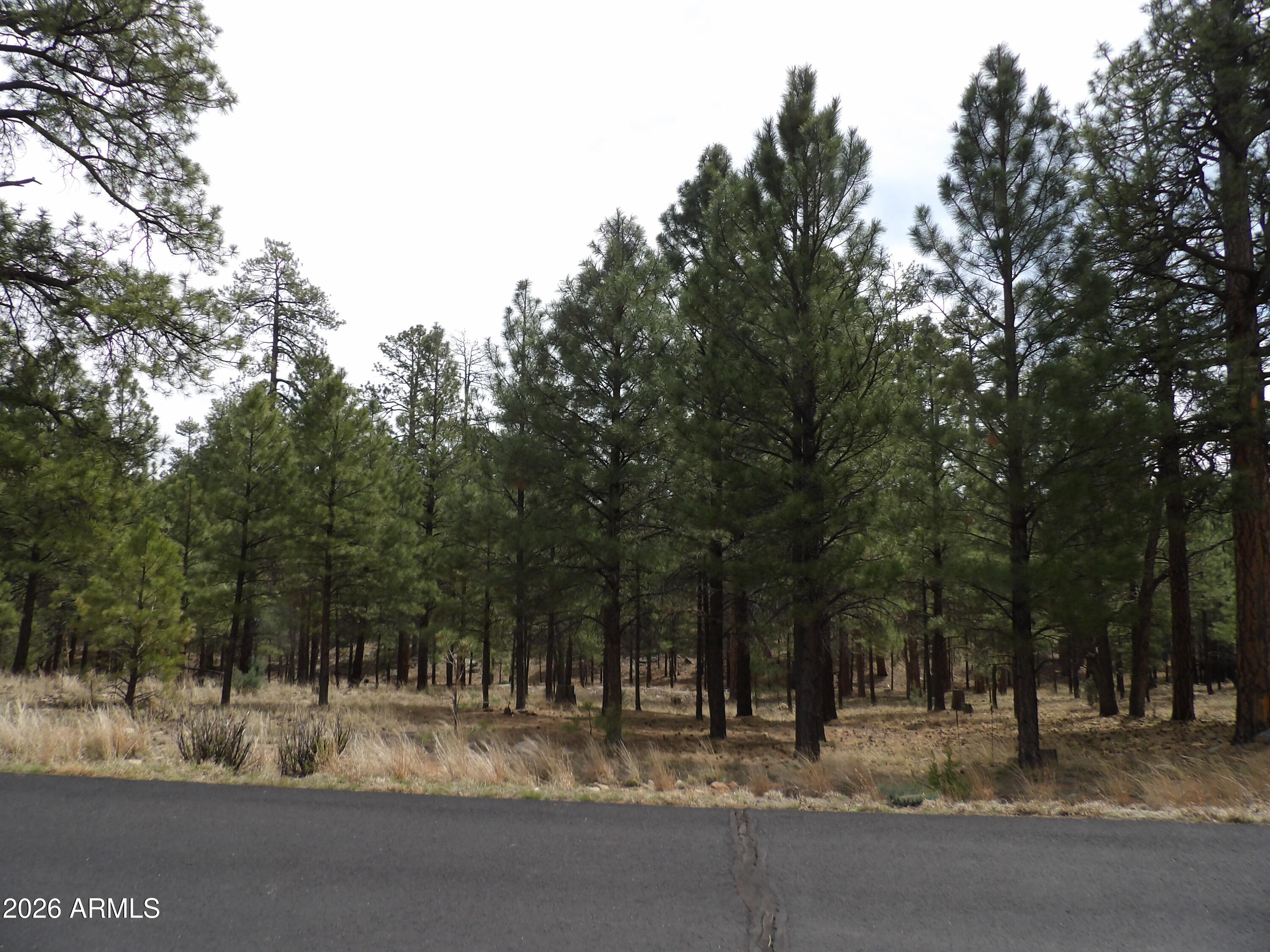 2011 PINE CANYON Drive 173, Happy Jack, AZ 86024 — Photo 1 of 8