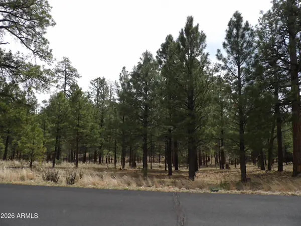 2011 PINE CANYON Drive 173, Happy Jack, AZ 86024