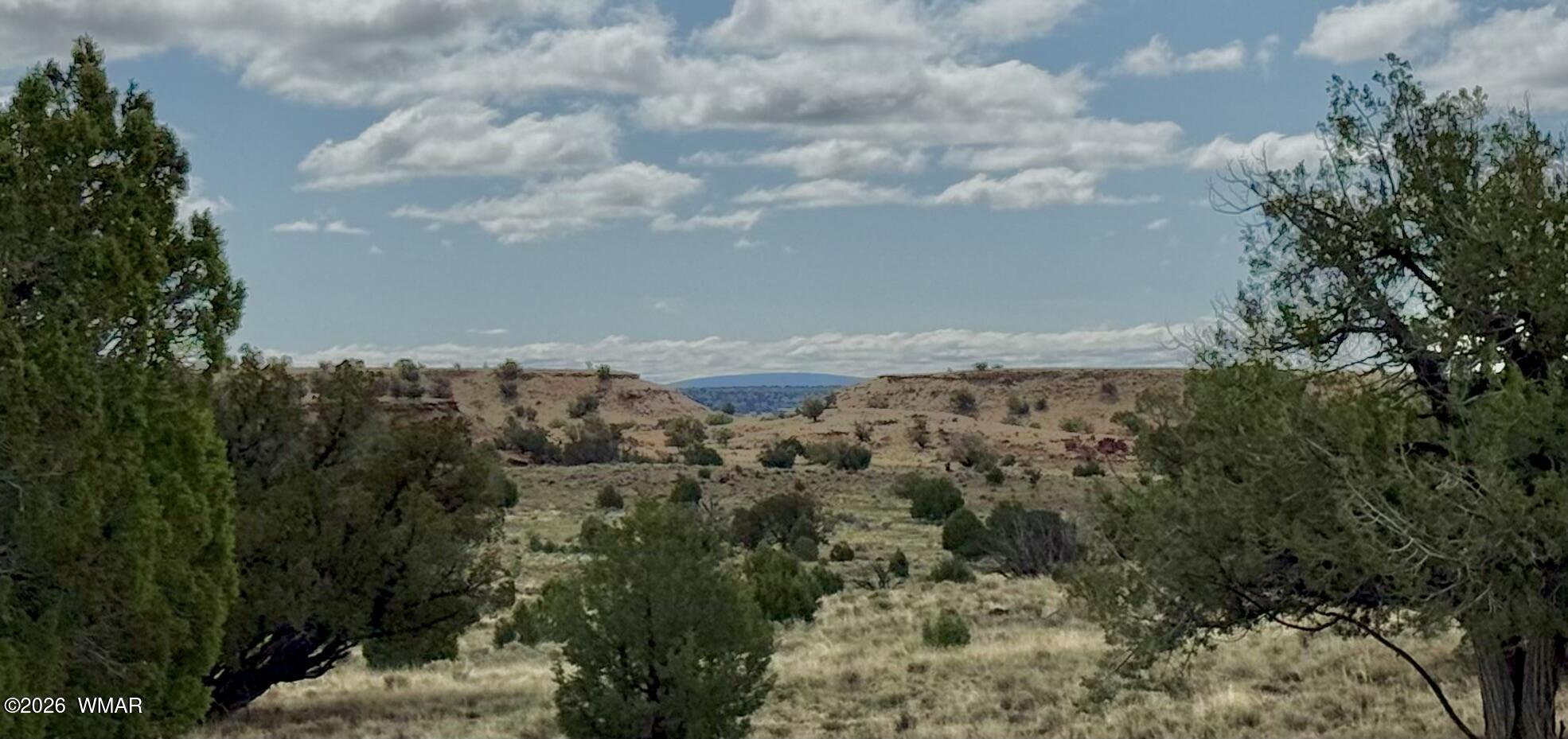 228 County Rd N9328, Concho, AZ 85924
