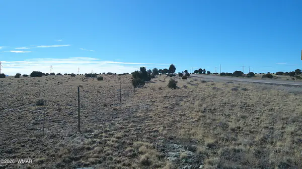 TBD Lakeview Ranch 40, Concho, AZ 85924