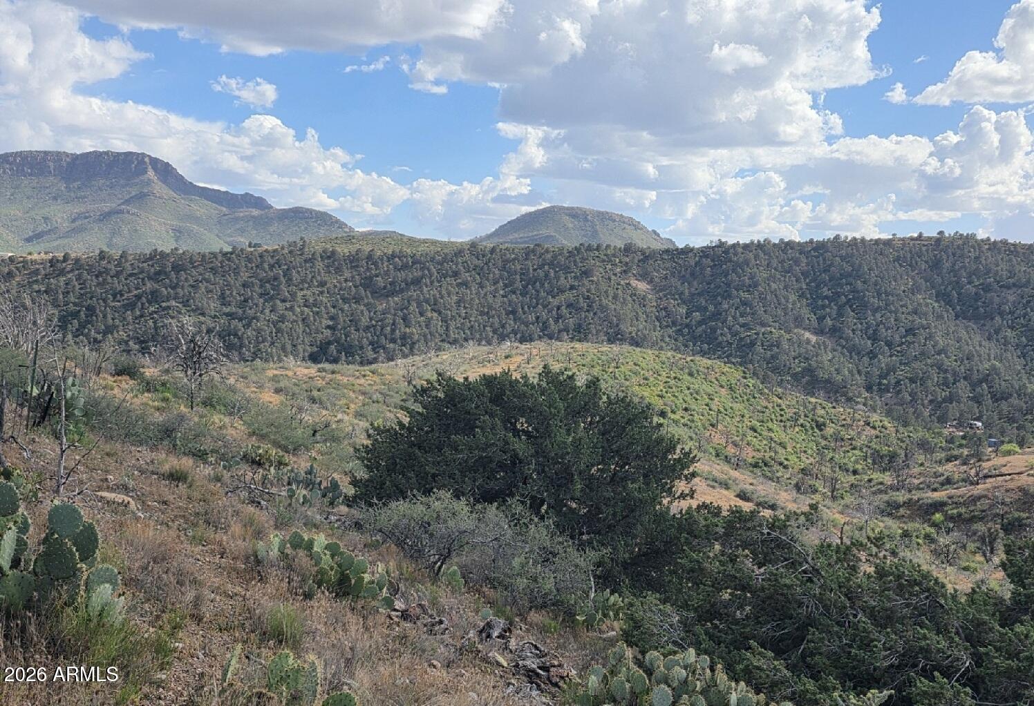10XX E Horseshoe Springs Road 2, Globe, AZ 85501 — Photo 1 of 25