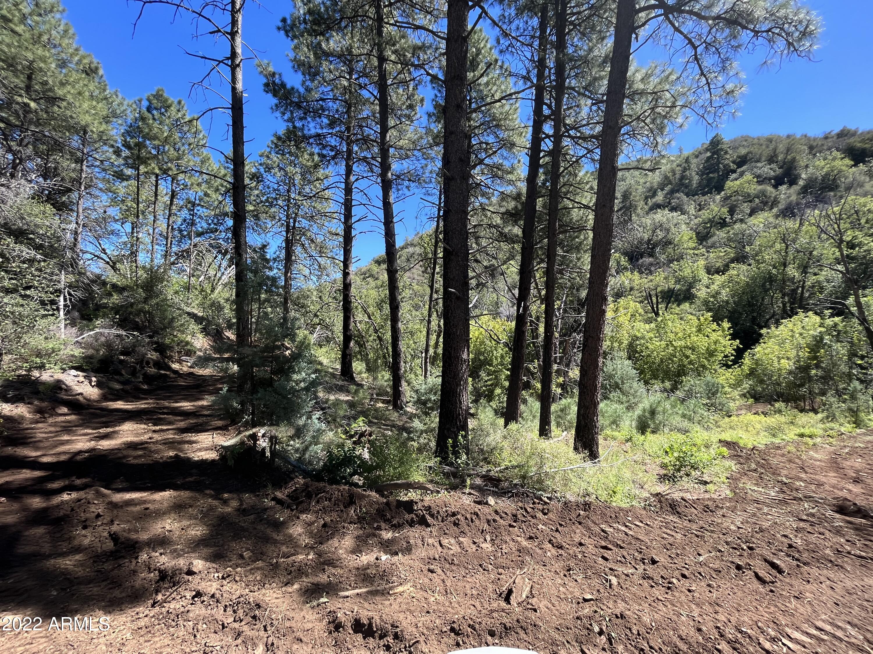 00 S Alexandra Road -, Crown King, AZ 86343 — Photo 1 of 15