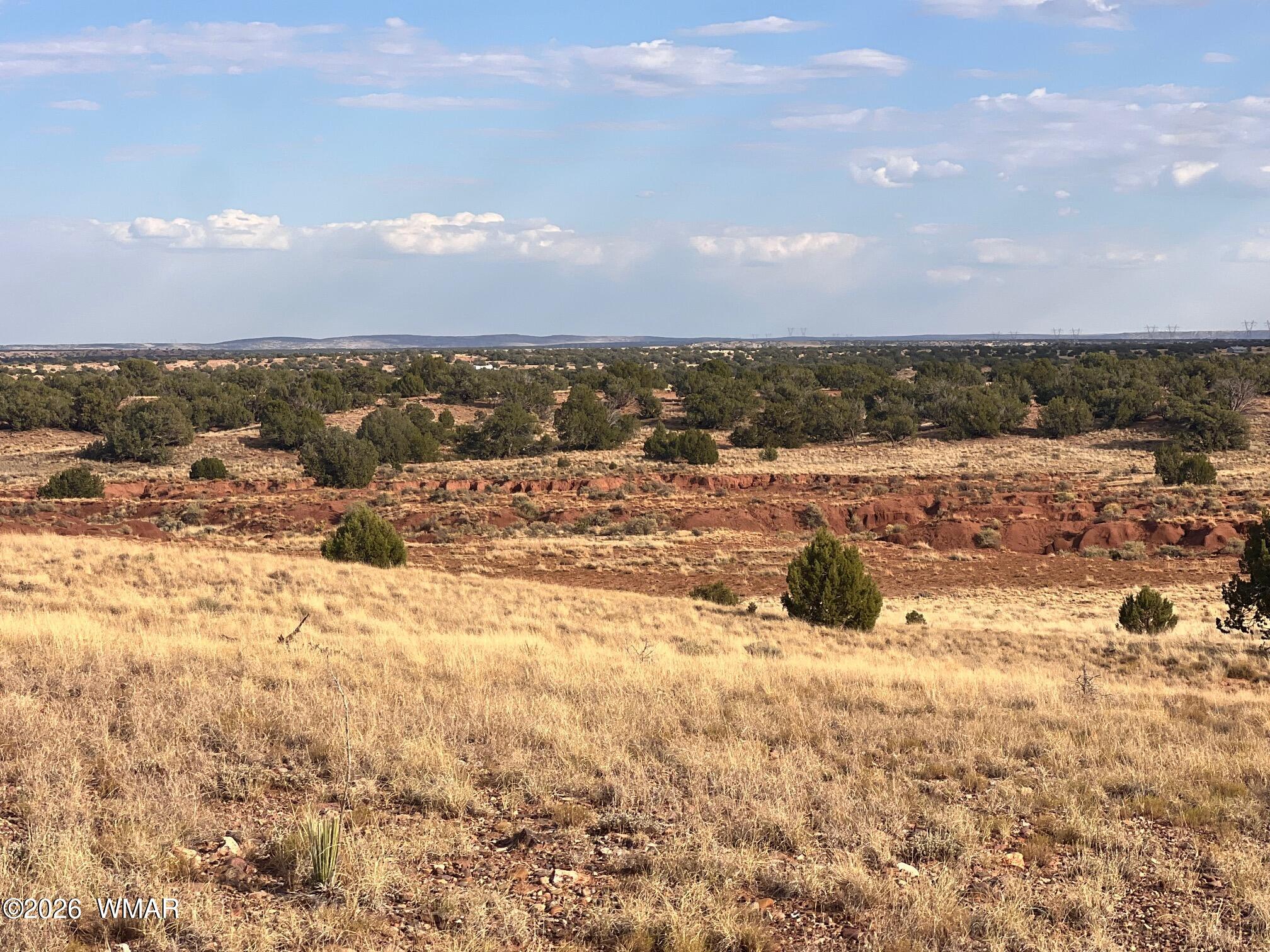 N9237 Miller Lane, Concho, AZ 85924