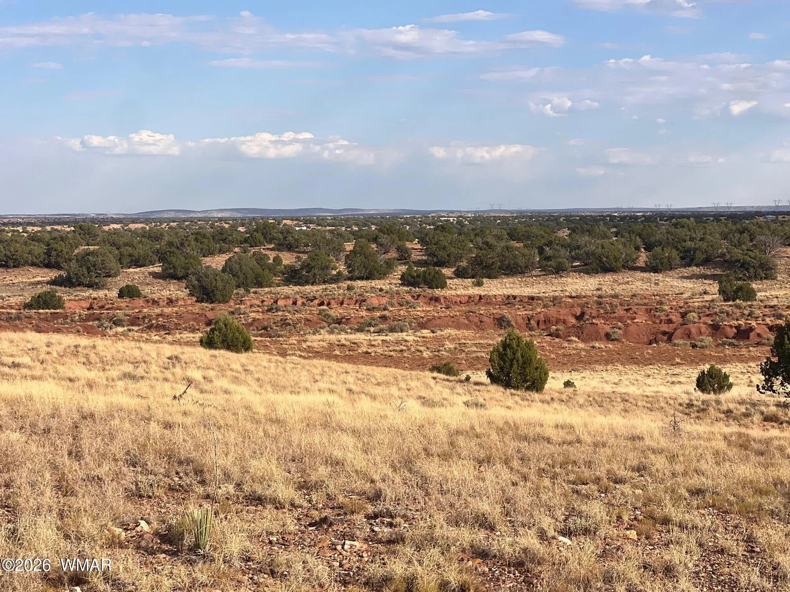 N9237 Miller Lane, Concho, AZ 85924 — Photo 1 of 25