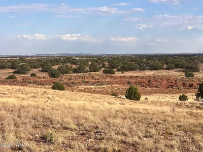 N9237 Miller Lane, Concho, AZ 85924