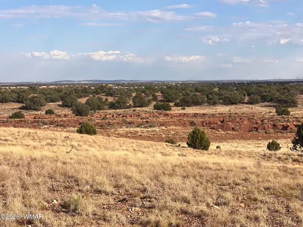 N9237 Miller Lane, Concho, AZ 85924