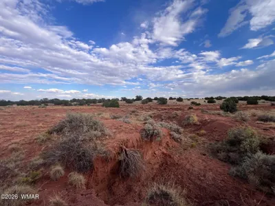 Thumbnail 21