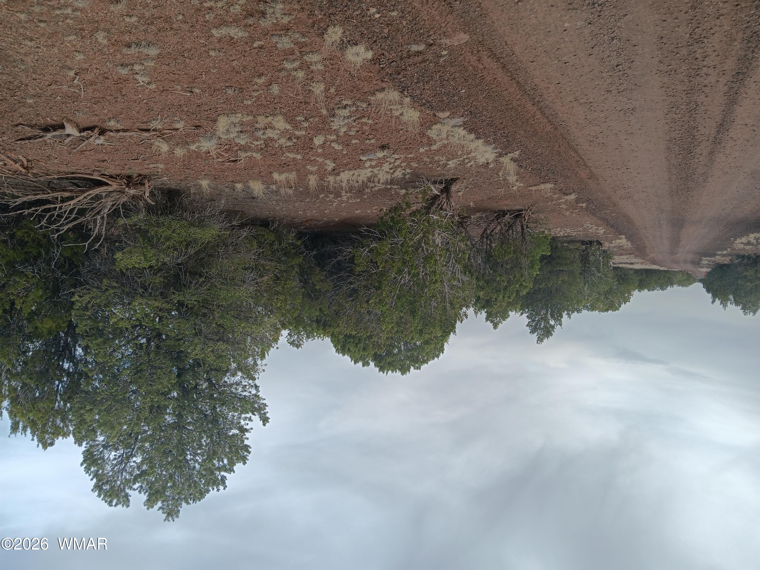 TBD 2 N8412, Concho, AZ 85924