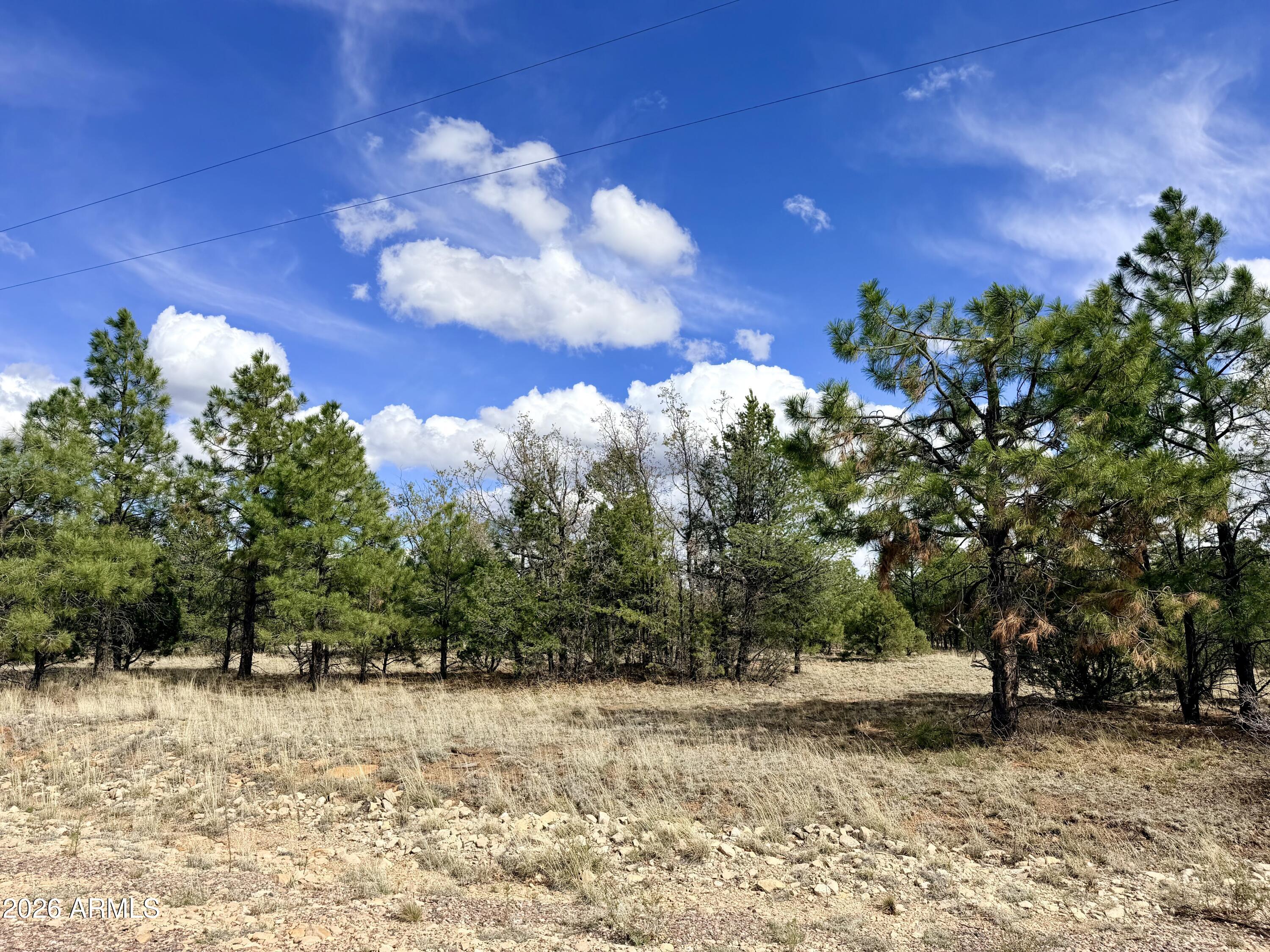 7112 HORIZON Circle 101, Happy Jack, AZ 86024 — Photo 1 of 18