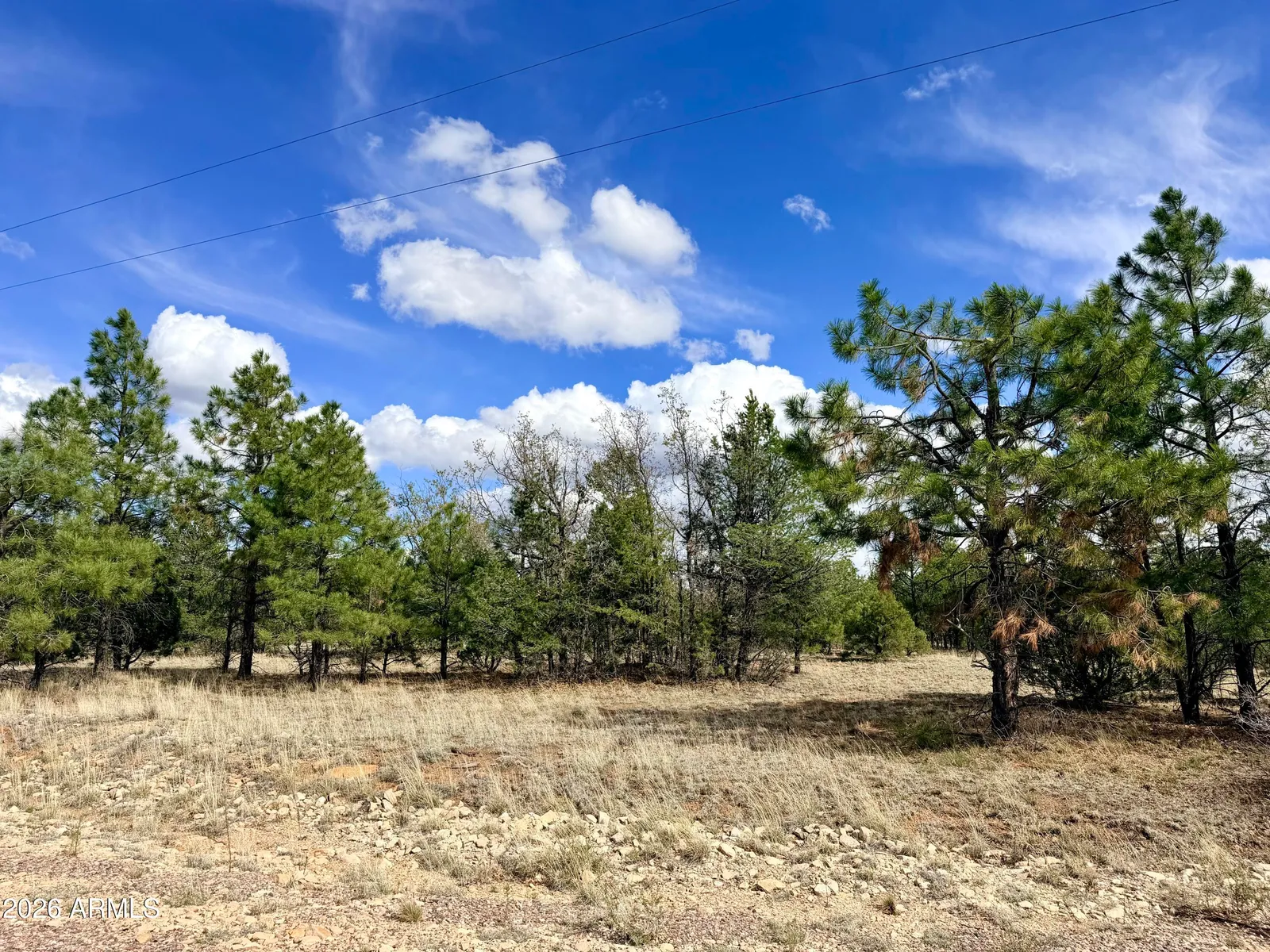 7112 HORIZON Circle 101, Happy Jack, AZ 86024 — Photo 1 of 18