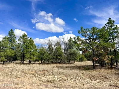 7112 HORIZON Circle 101, Happy Jack, AZ 86024