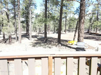 Thumbnail 47