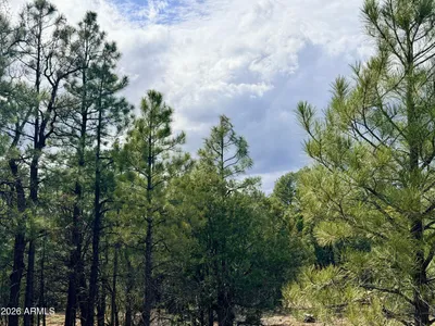 2588 Spoonbill Drive, Happy Jack, AZ 86024