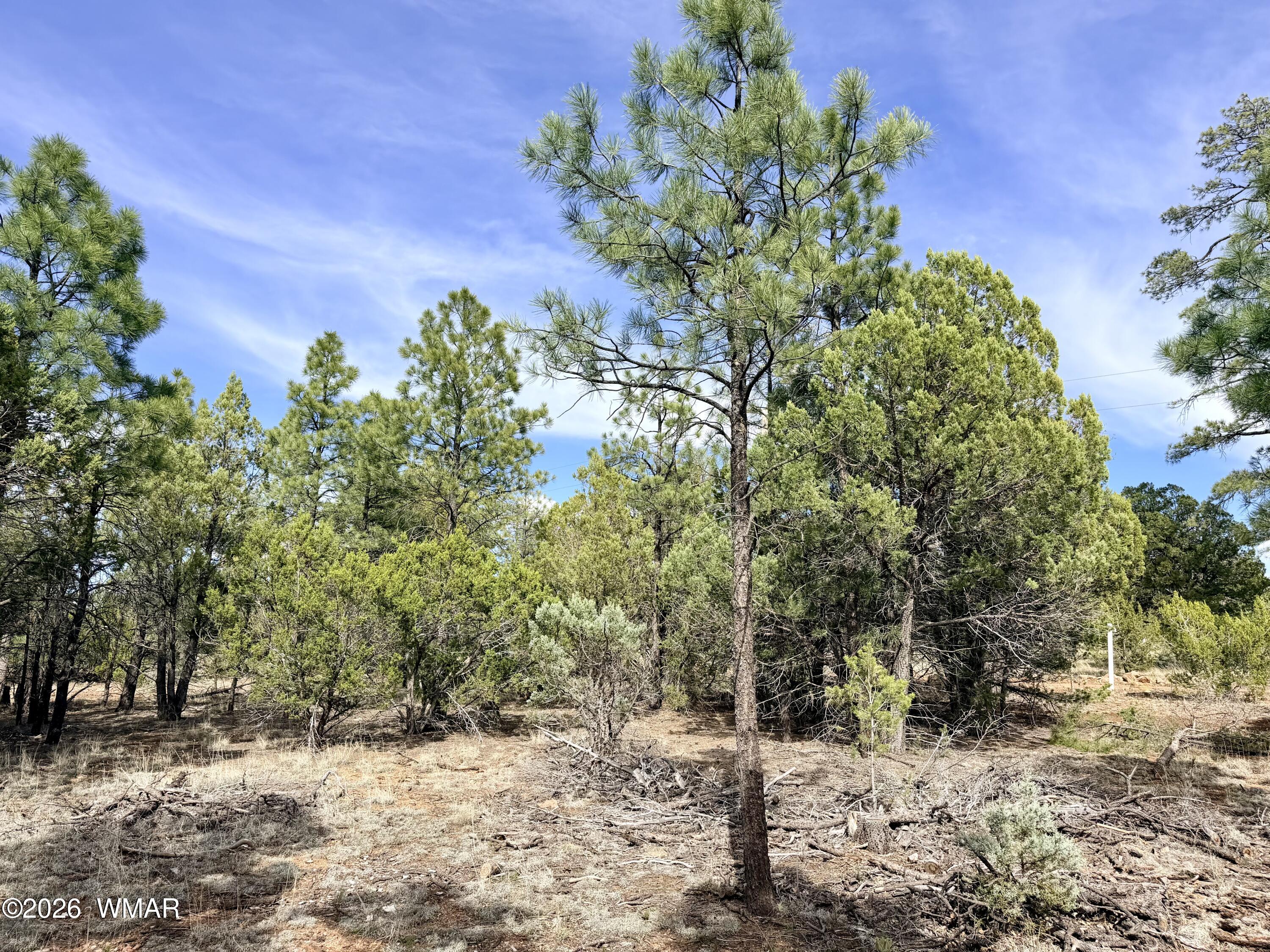 2588 Spoonbill Drive, Happy Jack, AZ 86024