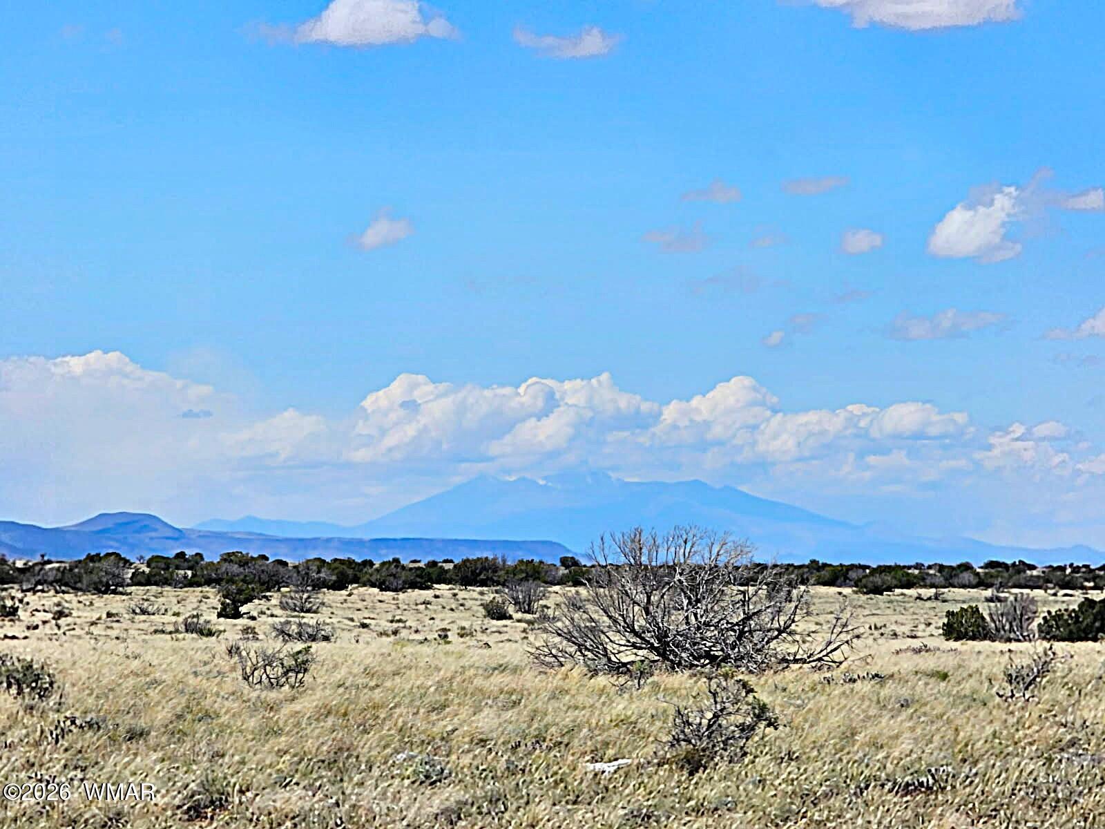 TBD Chev Canyon Ranch #3 Lot 461, Heber, AZ 85928