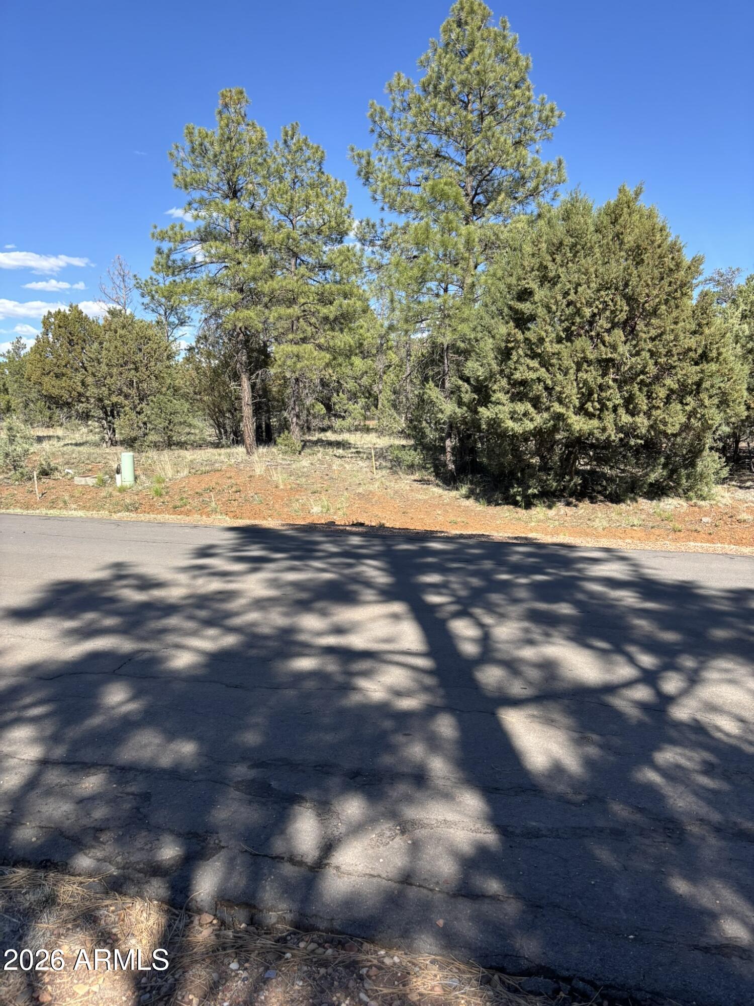 5459 Gray Wolf Drive 46, Lakeside, AZ 85929 — Photo 1 of 31