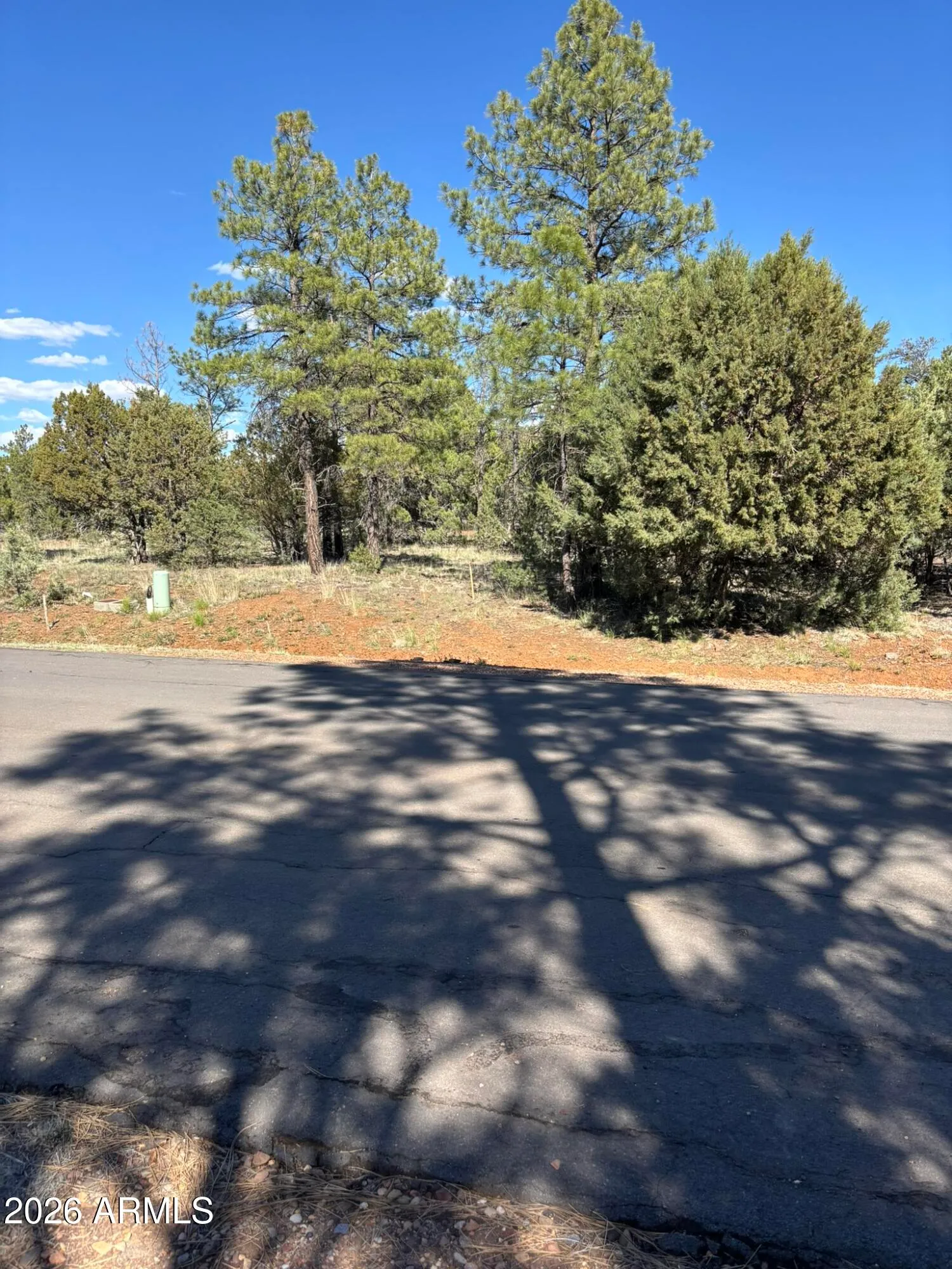 5459 Gray Wolf Drive 46, Lakeside, AZ 85929 — Photo 1 of 31