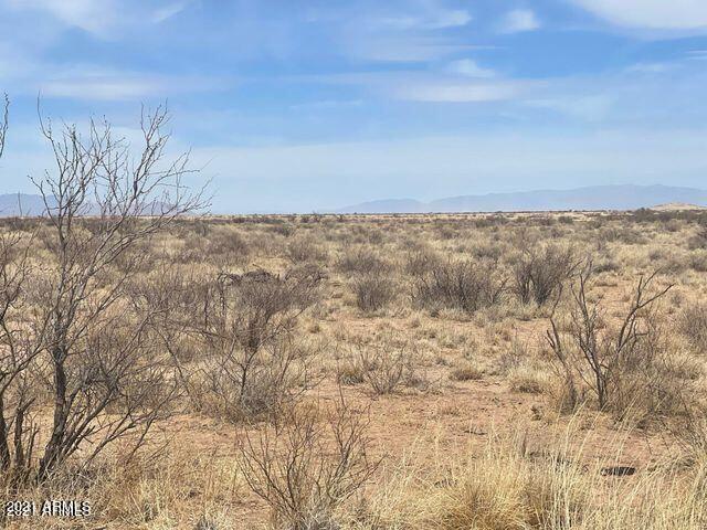 TBD 6 Lots in La Playa Estates 25, Cochise, AZ 85606 — Photo 1 of 4