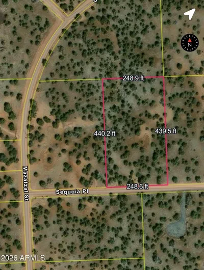 8640 Sequoia Place, Show Low, AZ 85901